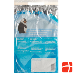 COOL & SAFE cooling bag 10 pcs