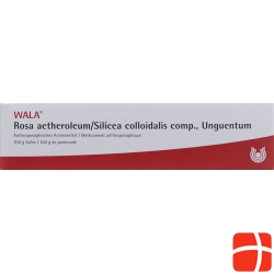 Wala Rosae aetherolum / Silica colloidalis ointment comp. Tb 100 g