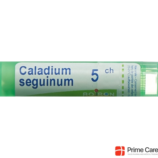 Boiron Caladium seguinum Gran C 5 4 g buy online