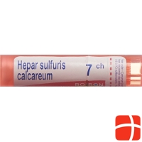 Boiron Hepar calcareum Gran C 7 4 g