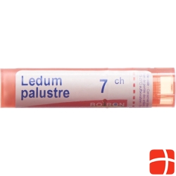 Ledum palustre Boiron Gran C 7 4 g