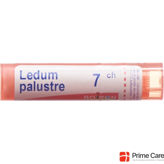 Ledum palustre Boiron Gran C 7 4 g