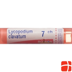 Lycopodium clavatum Boiron Gran C 7 4 g