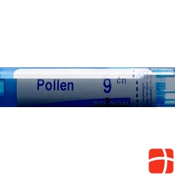 Boiron pollen pollant Gran C 9 4 g