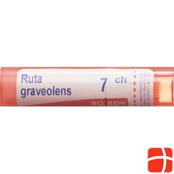 Ruta graveolens Boiron Gran C 7 4 g