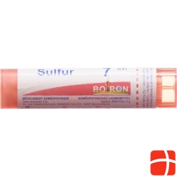 Boiron Sulfur Gran C 7 4g