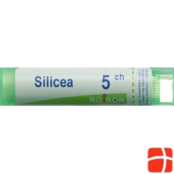 Boiron Silica Gran C 5 4 g