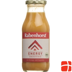 Rabenhorst Smoothie Energy Bio Fl 240 ml