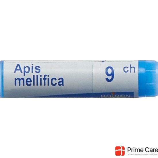 Apis mellifera Boiron Glob C 9 1 Dos