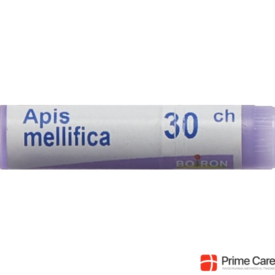 Apis mellifera Boiron Glob C 30 1 Dos