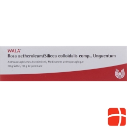 Wala Rosae aetherolum / Silica colloidalis ointment comp. Tb 30 g