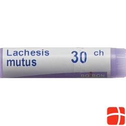 Boiron Lachesis mutus Glob C 30 1 Dos