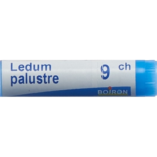 Boiron Ledum Palustre Globuli C 9 1 Dos buy online