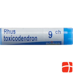 Boiron Rhus Toxicodendron Globuli C 9 1 Dos