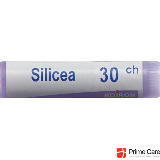 Boiron Silicea Globuli C 30 1 Dos buy online