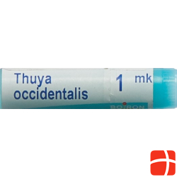 Boiron Thuya Occidentalis Globuli Mk 1 Dos