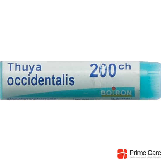 Boiron Thuya Occidentalis Globuli C 200 1 Dos buy online