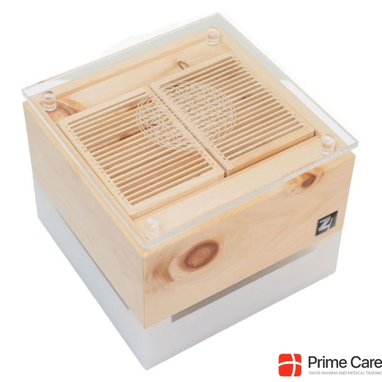 Stone pine fan Cube Mini buy online