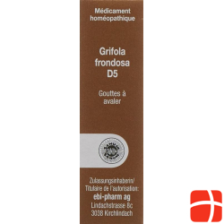 Sanum Grifola Frondosa Tropfen D 5 10ml