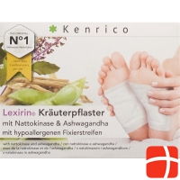 Kenrico Kräuterpflaster Nattokinase Ashwaga 10 Stück