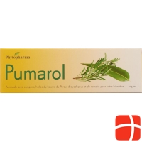Phytopharma Pumarol Salbe Tube 125ml