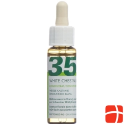 Phytomed Bachblüten No35 Rosskastanie Flasche 10ml