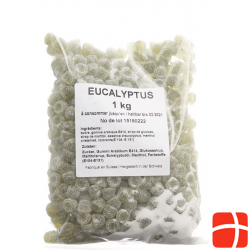 Dehly Eukalyptus Pastillen M Zucker 1kg