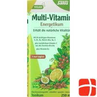 Salus Multi-Vitamin Energetic Bio 250ml