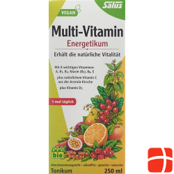 Salus Multi-Vitamin Energetic Bio 250ml