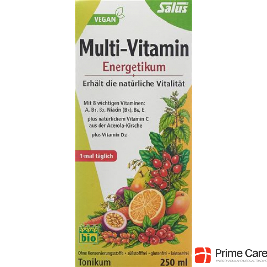 Salus Multi-Vitamin Energetic Bio 250ml buy online