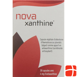 Novaxanthine Astaxanthin Kapseln 4mg Dose 30 Stück