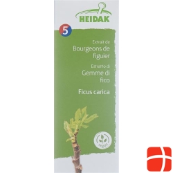 Heidak Knospe Feige Ficus Glyc Maz Flasche 500ml