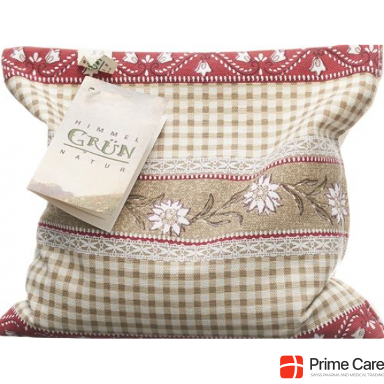 Sky green rapeseed cushion 20x20cm Edelweiss check buy online