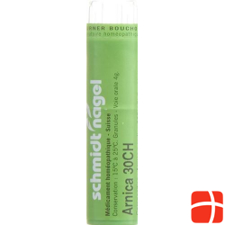 Sn Arnica Granulat Ch 30 15g