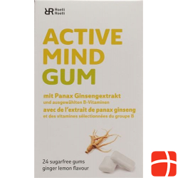 R&r Active Mind Gum 24 Stück