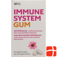R&r Immune System Gum 24 Stück