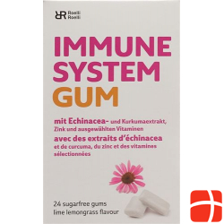 R&r Immune System Gum 24 Stück