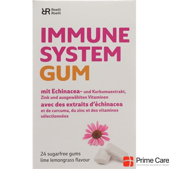 R&r Immune System Gum 24 Stück buy online