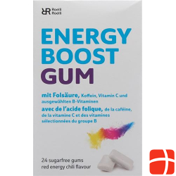 R&r Energy Boost Gum 24 Stück