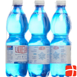 Lauretana Mineralwasser O Kohlens 6 Petflasche 1.5L