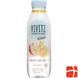 Vivitz Water Ingwer-apfel-zitrone 6 Flasche 0.5L