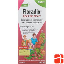 Floradix Eisen für Kinder Saft Flasche 250ml