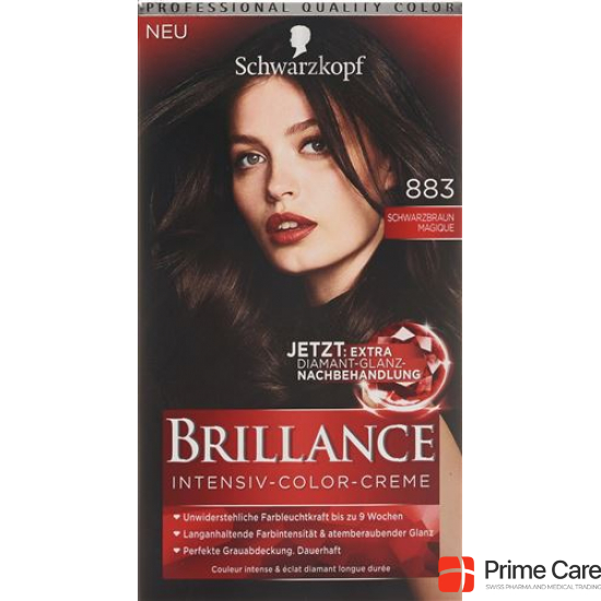Brilliance 883 Black-brown Magique buy online