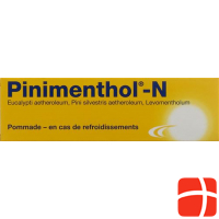 Pinimenthol N Salbe Tube 50g