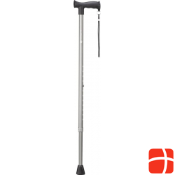 Vitility walking stick anthracite