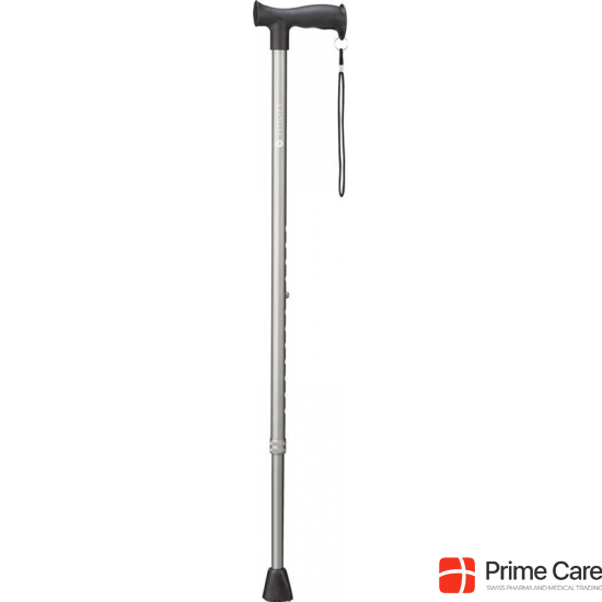 Vitility walking stick anthracite buy online