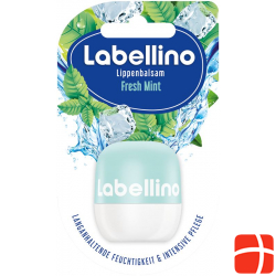 Labello Labellino Fresh Mint 7g