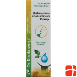 Reckeweg R97 Histaminum Dihy Comp Nasenspray 15ml