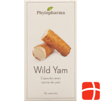 Phytopharma Wild Yam Kapseln 400mg 80 Stück