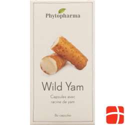 Phytopharma Wild Yam Kapseln 400mg 80 Stück